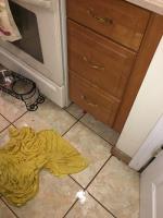 Sewer Drain | Water Damage - Flooded Brooklyn image 3
